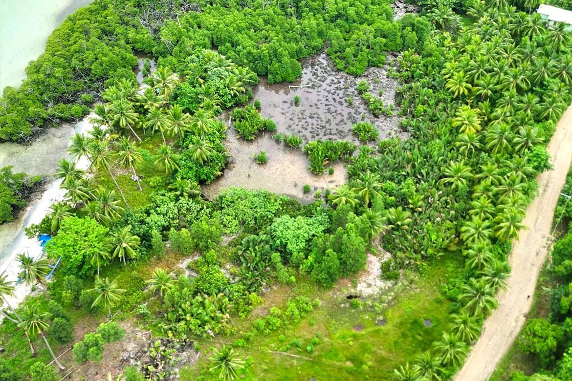 Land for Sale in Port Barton, San Vicente, Palawan – photo 7