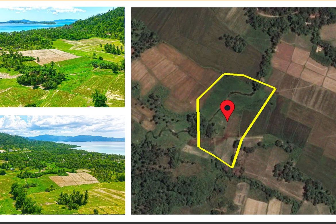 Land for Sale in Port Barton, San Vicente, Palawan