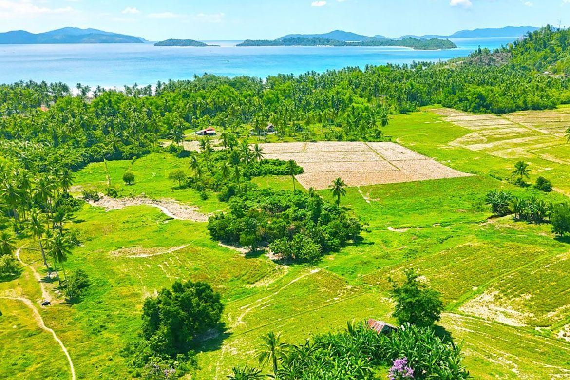 Land for Sale in Port Barton, San Vicente, Palawan – photo 3