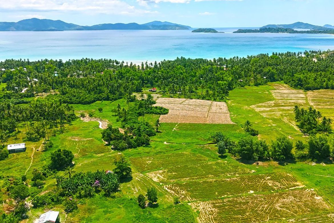 Land for Sale in Port Barton, San Vicente, Palawan – photo 4