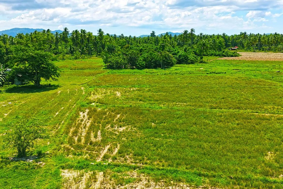 Land for Sale in Port Barton, San Vicente, Palawan – photo 8
