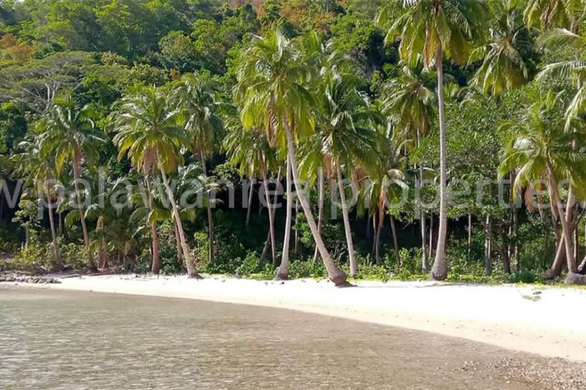 Land for Sale in Port Barton, San Vicente, Palawan – photo 7
