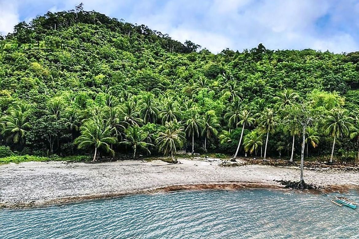 Land for Sale in Port Barton, San Vicente, Palawan – photo 2