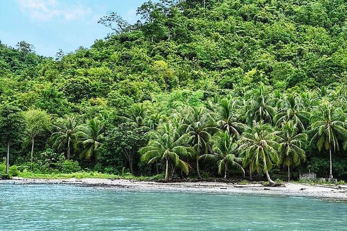 Land for Sale in Port Barton, San Vicente, Palawan – photo 4
