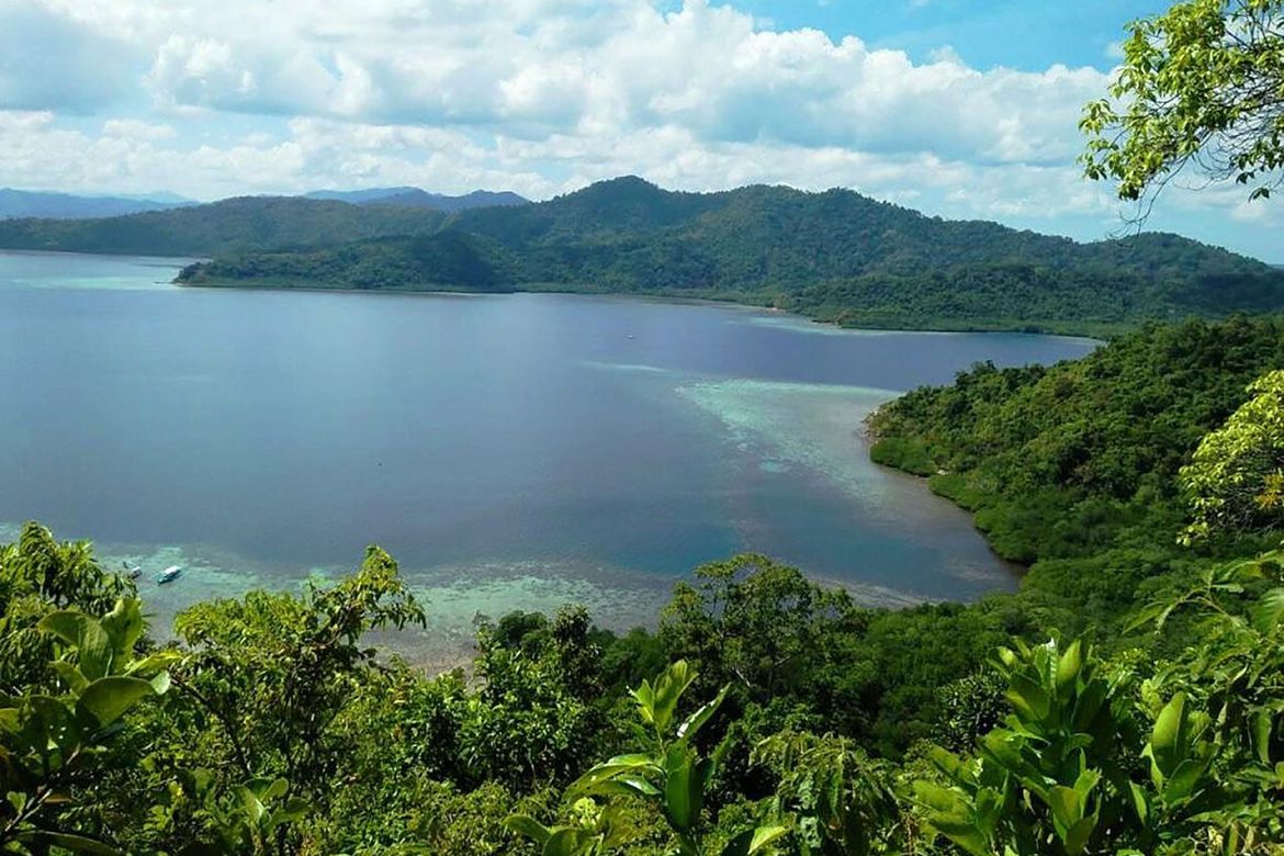 Land for Sale in Port Barton, San Vicente, Palawan – photo 8