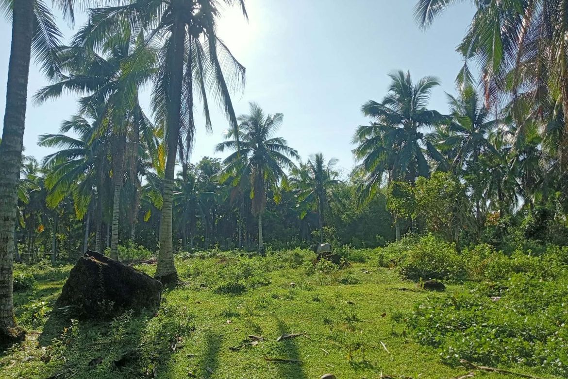 Land for Sale in Port Junction Norte, Ragay, Camarines Sur – photo 2