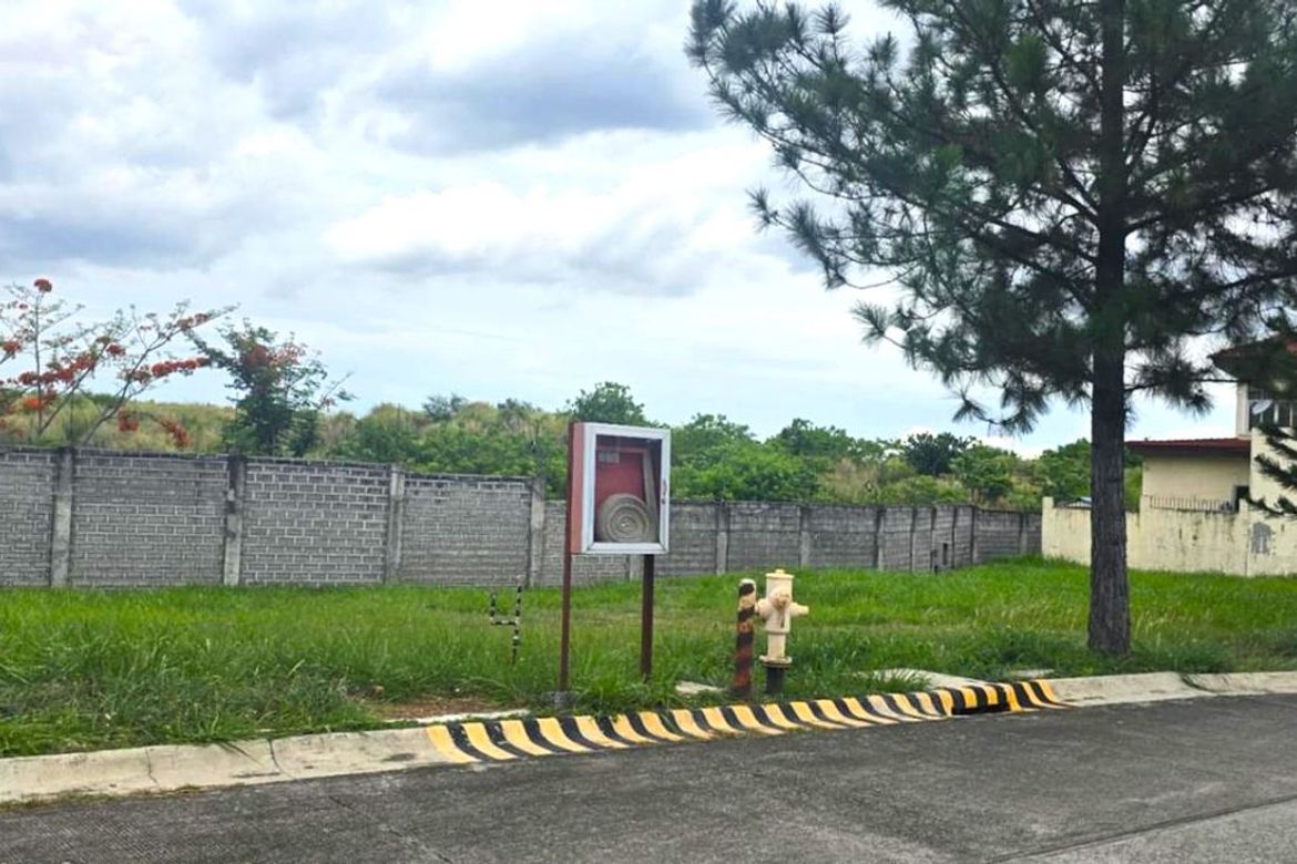 Land for Sale in Portofino Heights, Almanza Dos, Las Piñas, Metro Manila – photo 4