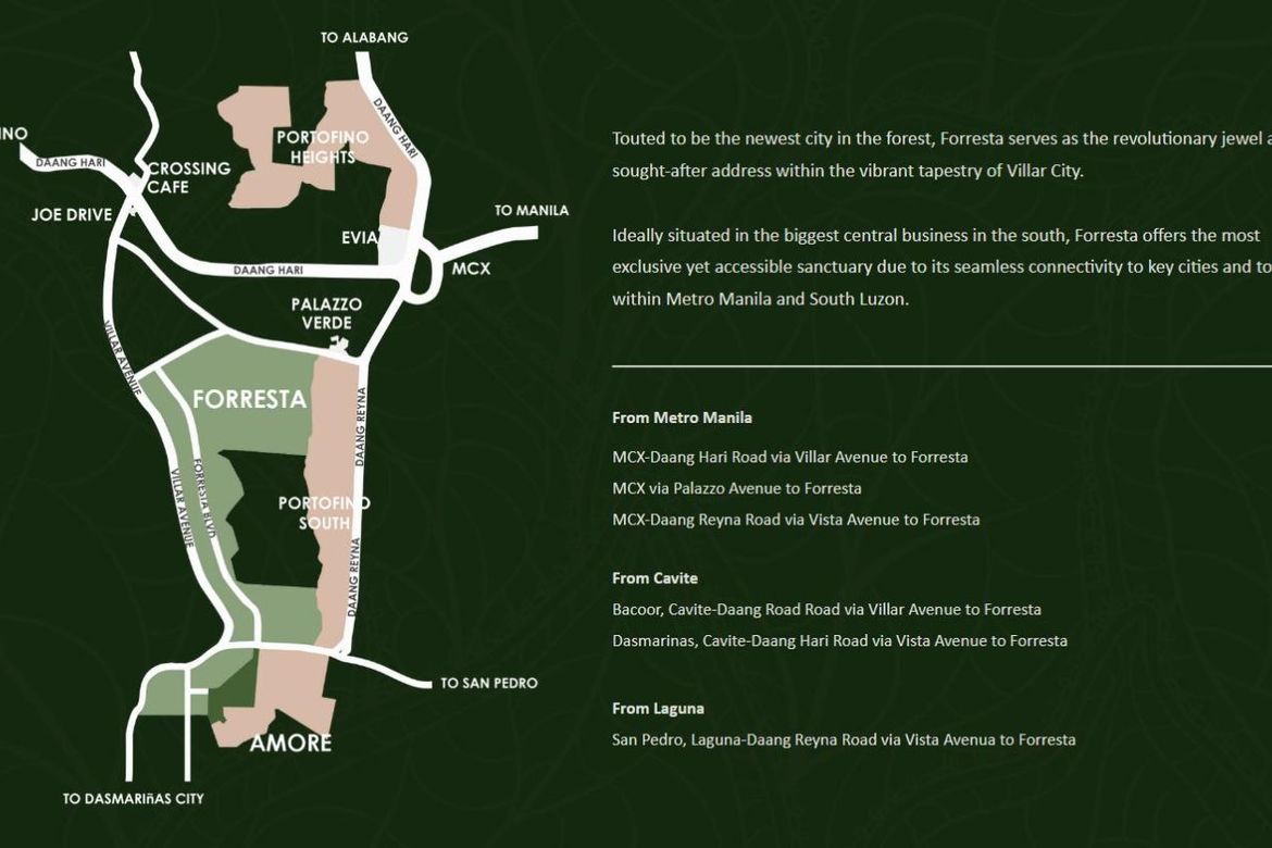 Land for Sale in Portofino Heights, Almanza Dos, Las Piñas, Metro Manila – photo 5