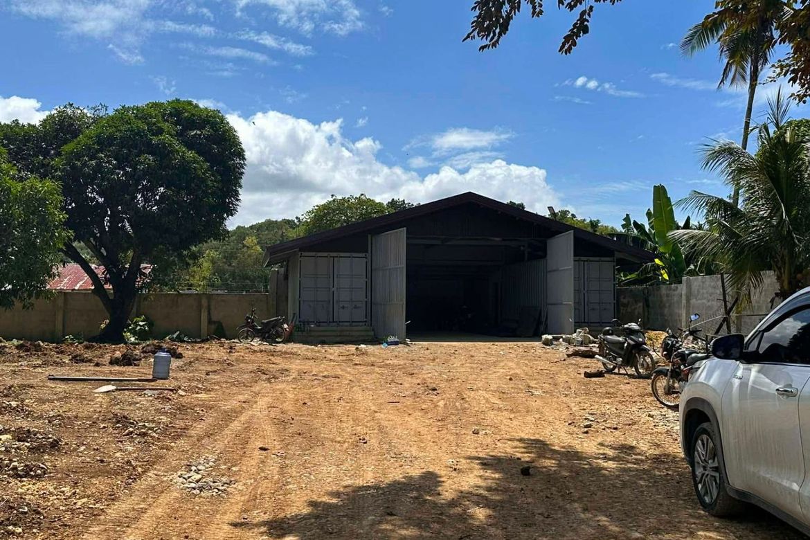 Land for Sale in Prenza, Balamban, Cebu – photo 2
