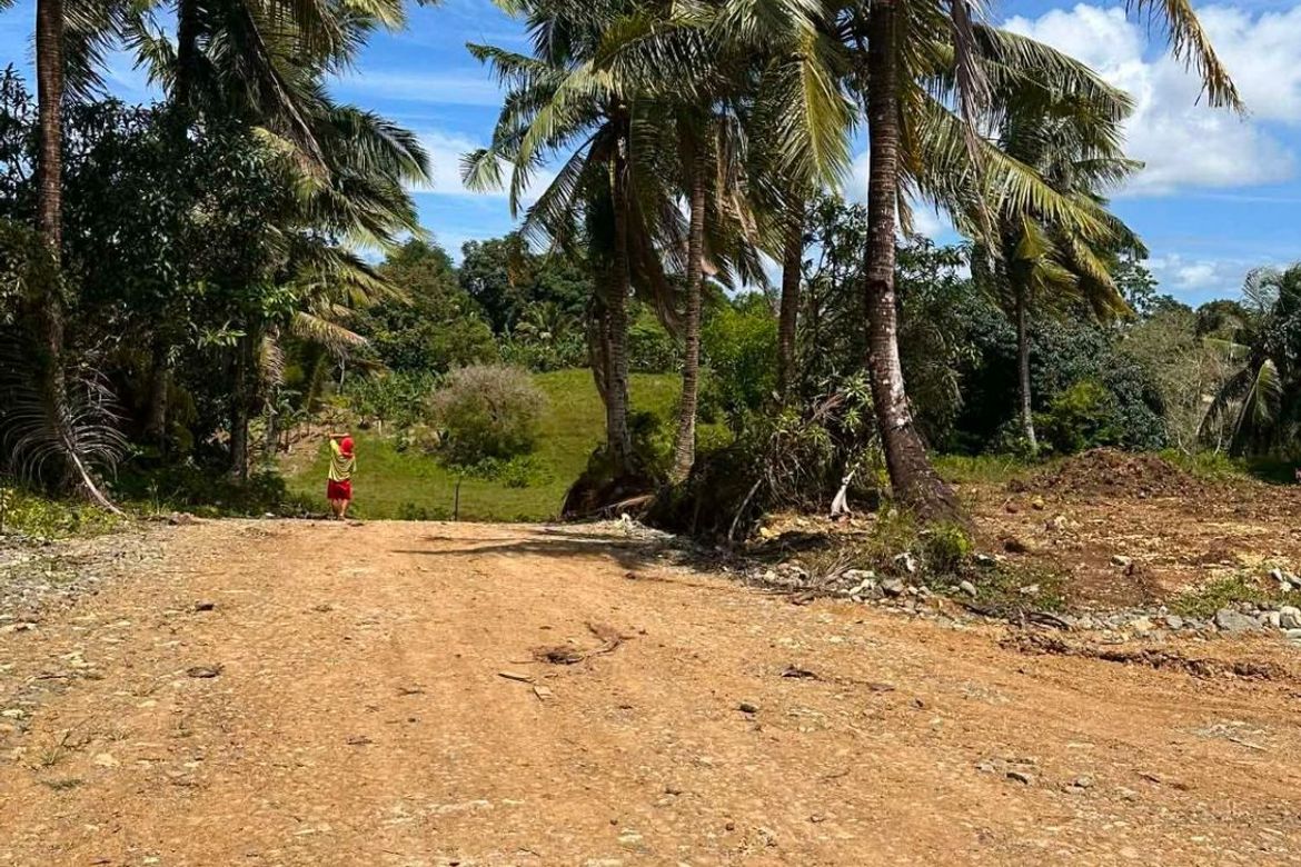 Land for Sale in Prenza, Balamban, Cebu – photo 3