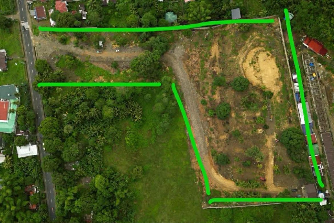 Land for Sale in Prenza, Balamban, Cebu – photo 4