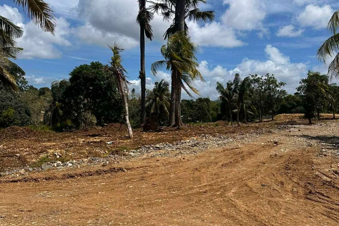 Land for Sale in Prenza, Balamban, Cebu – photo 5