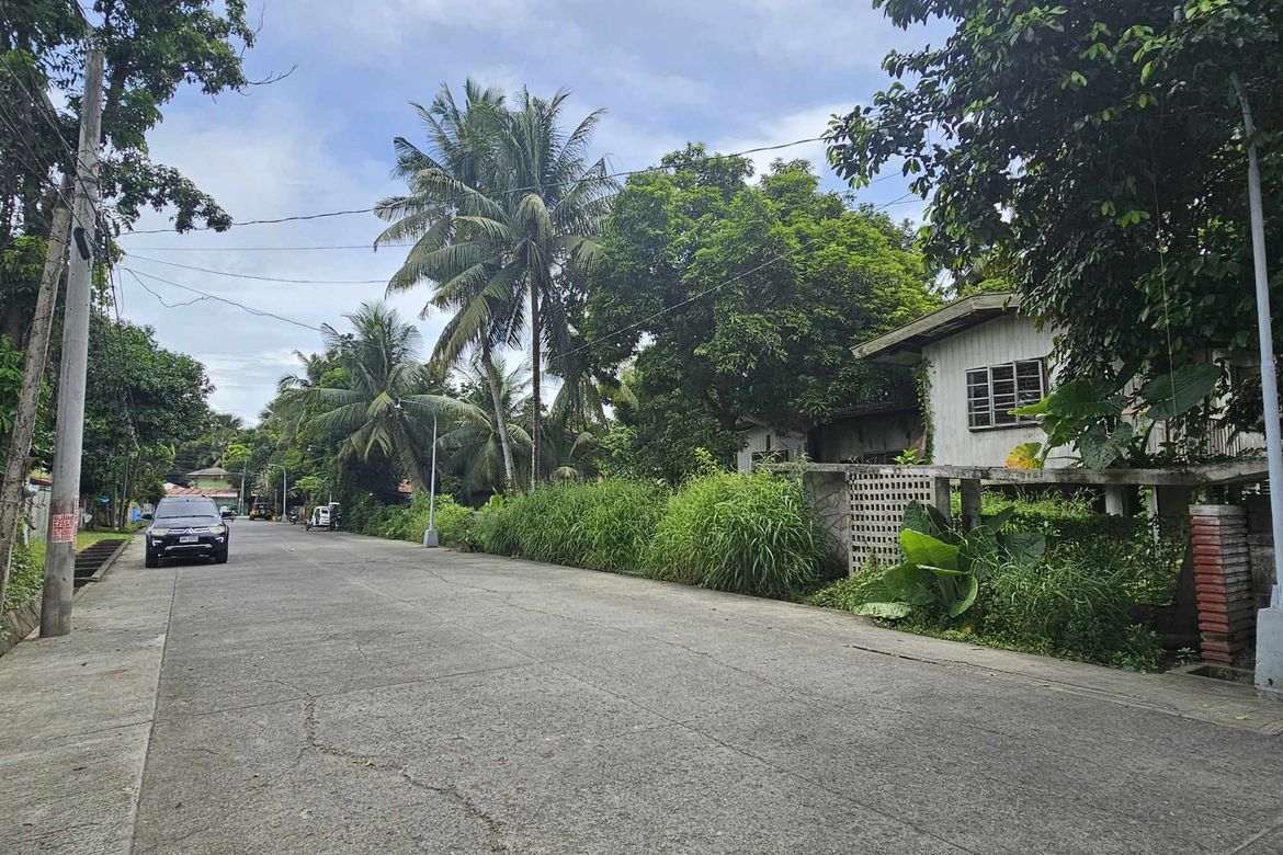 Land for Sale in Primitivo Ledesma Ward, Pototan, Iloilo – photo 3