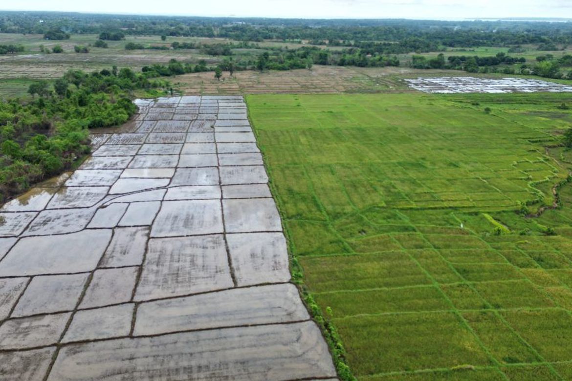 Land for Sale in Princess Urduja, Narra, Palawan