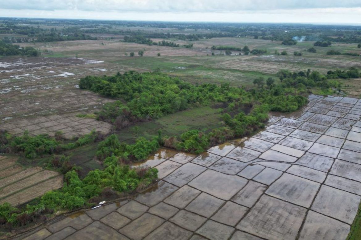 Land for Sale in Princess Urduja, Narra, Palawan – photo 2