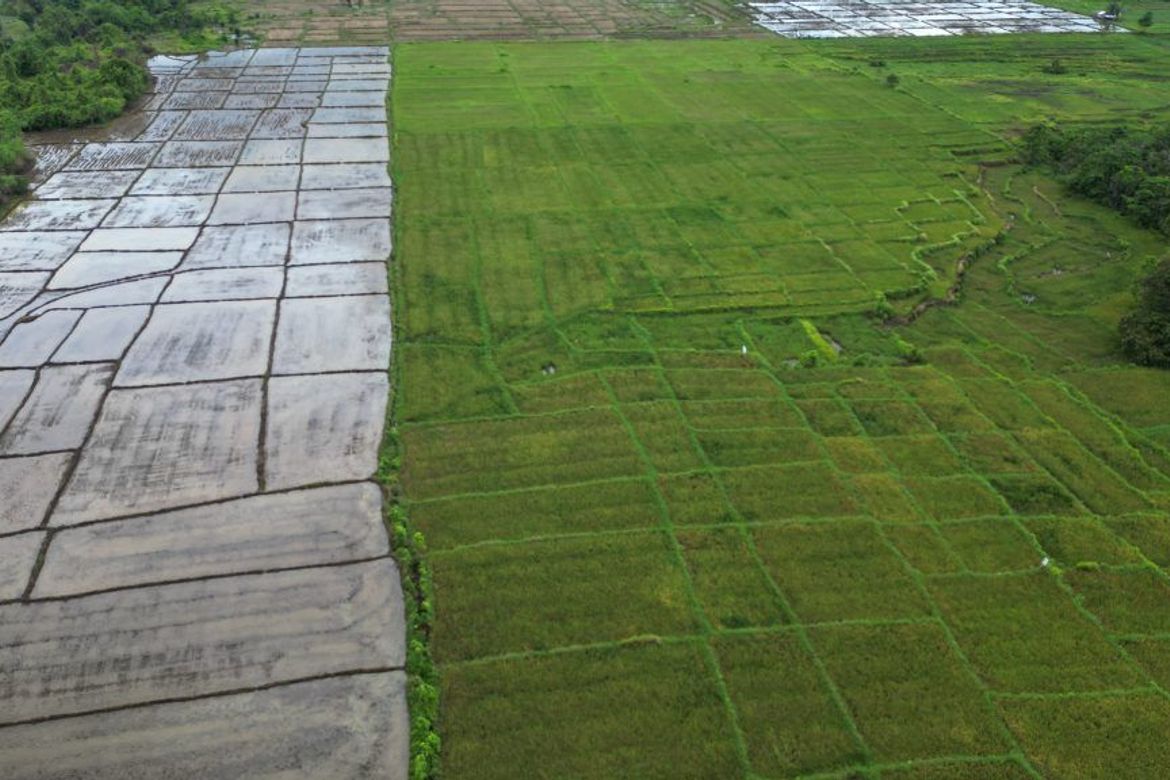 Land for Sale in Princess Urduja, Narra, Palawan – photo 4
