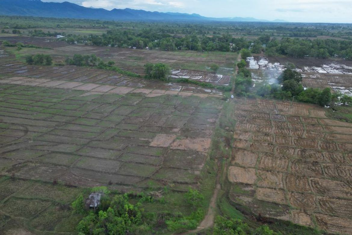 Land for Sale in Princess Urduja, Narra, Palawan – photo 8
