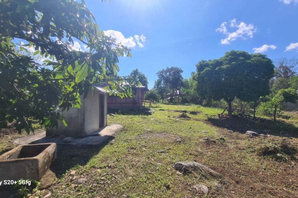 Land for Sale in Princess Urduja, Narra, Palawan – photo 7