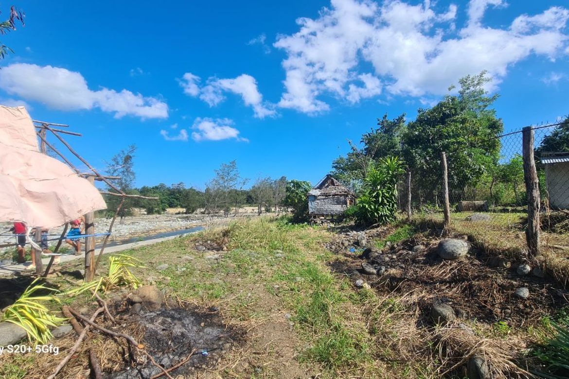 Land for Sale in Princess Urduja, Narra, Palawan – photo 8