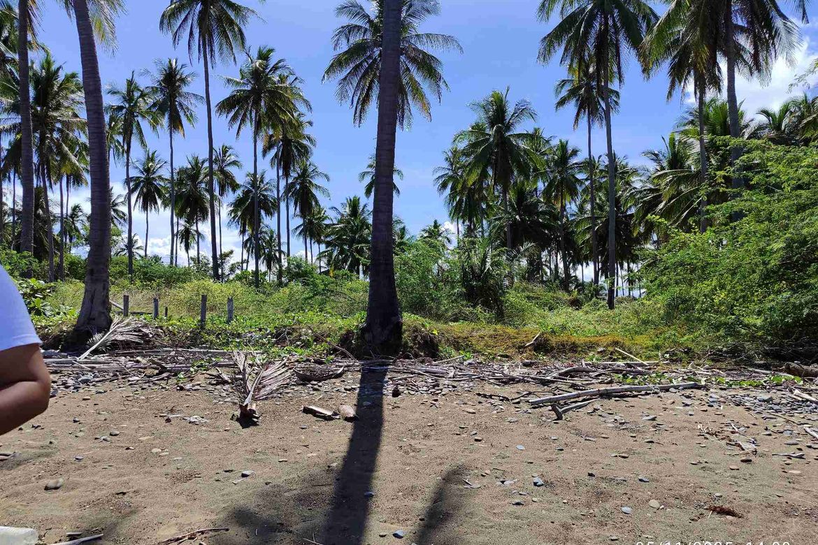 Land for Sale in Princess Urduja, Narra, Palawan
