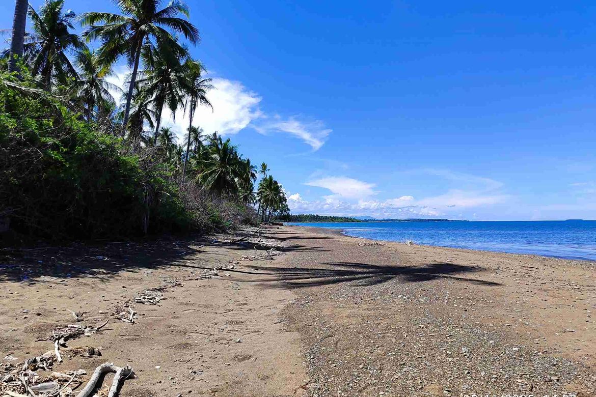 Land for Sale in Princess Urduja, Narra, Palawan – photo 2