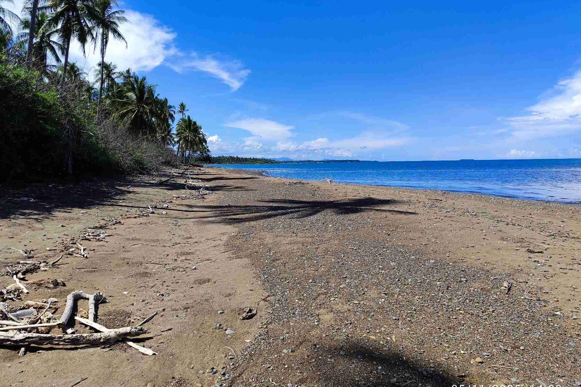 Land for Sale in Princess Urduja, Narra, Palawan – photo 3