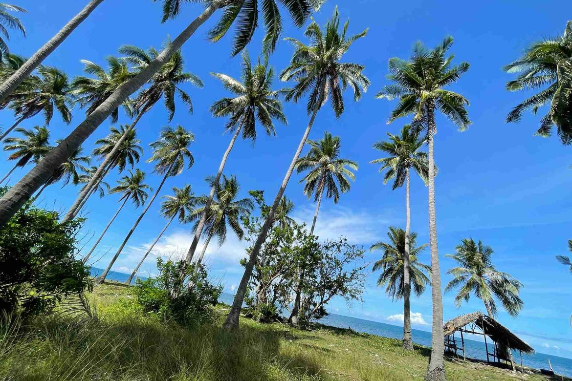 Land for Sale in Princess Urduja, Narra, Palawan – photo 5