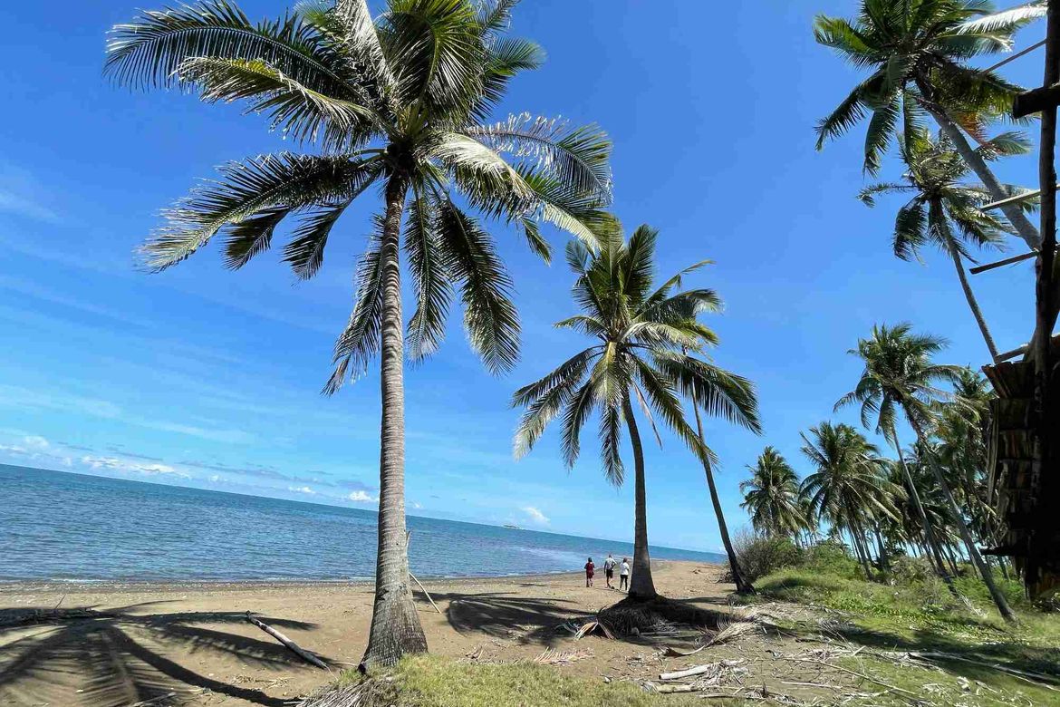 Land for Sale in Princess Urduja, Narra, Palawan – photo 7