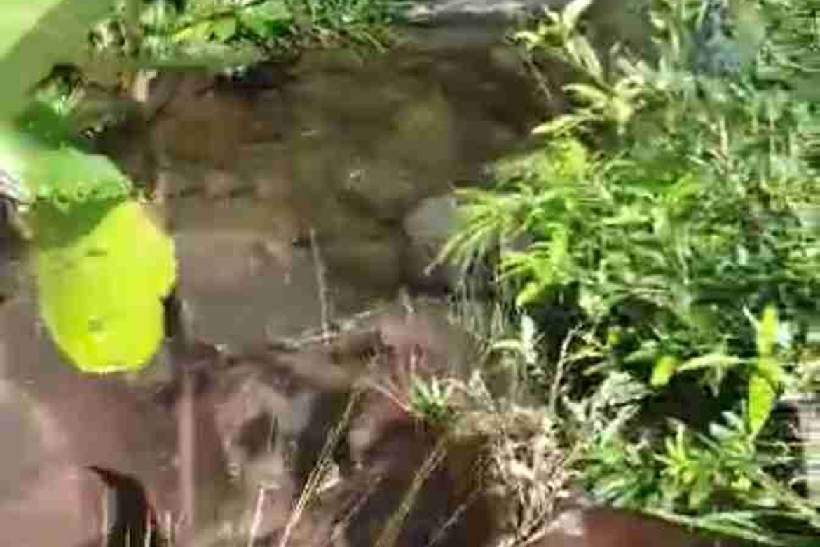 Land for Sale in Princess Urduja, Narra, Palawan – photo 5
