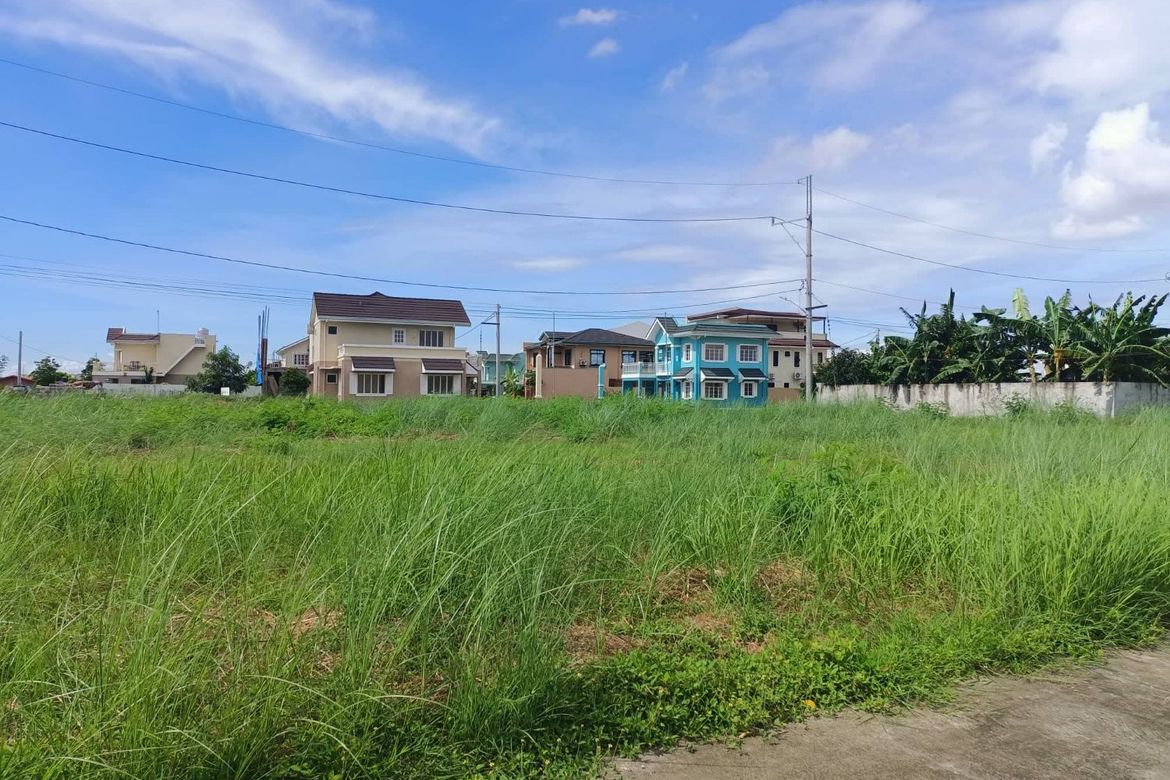 Land for Sale in Princeton Heights, Bayanan, Bacoor, Cavite – photo 2