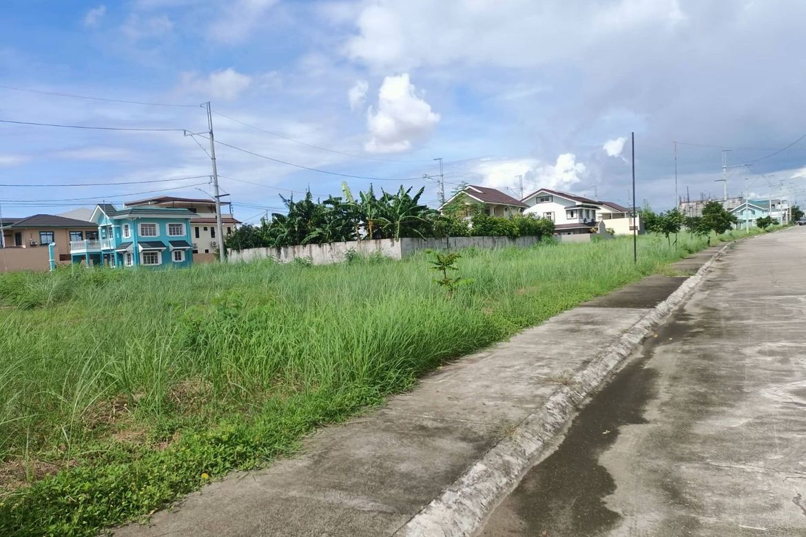 Land for Sale in Princeton Heights, Bayanan, Bacoor, Cavite – photo 3
