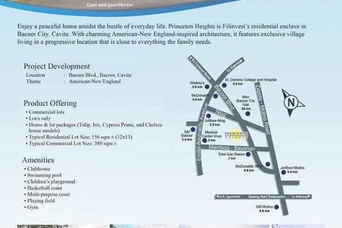 Land for Sale in Princeton Heights, Bayanan, Bacoor, Cavite – photo 4