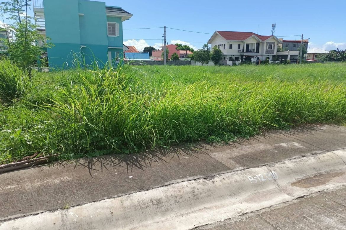 Land for Sale in Princeton Heights, Bayanan, Bacoor, Cavite – photo 2