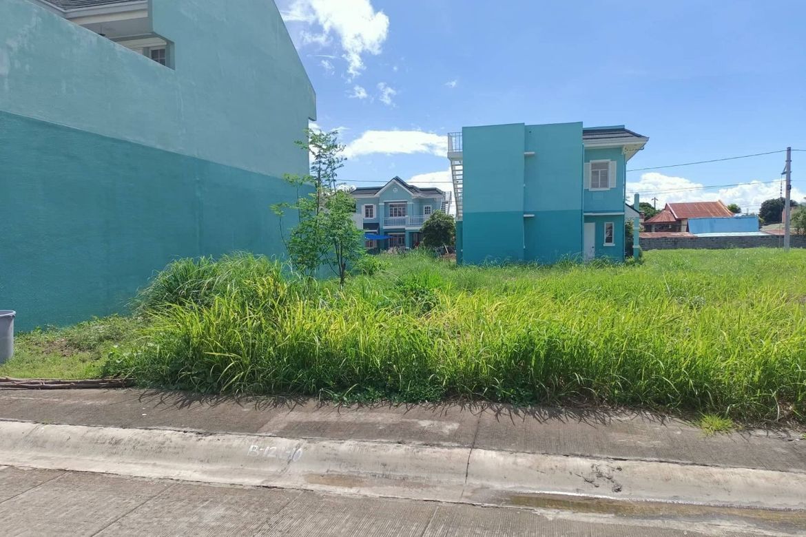 Land for Sale in Princeton Heights, Bayanan, Bacoor, Cavite – photo 3