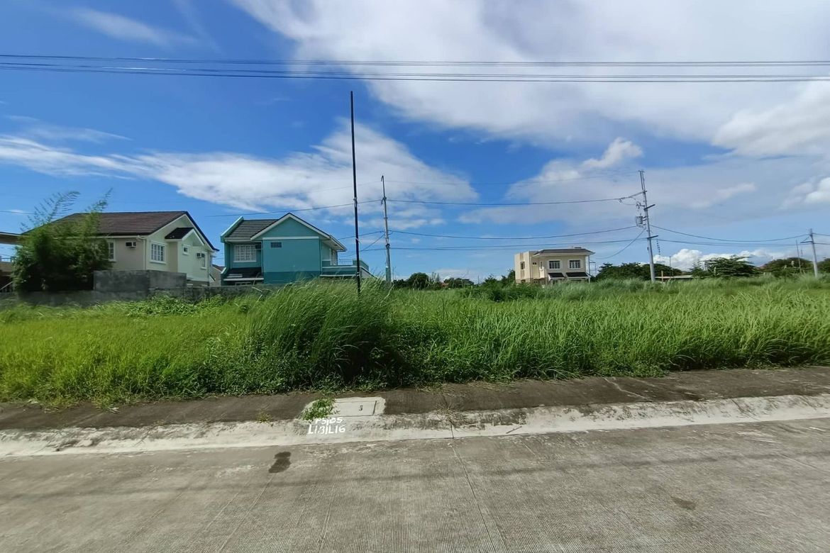 Land for Sale in Princeton Heights, Bayanan, Bacoor, Cavite – photo 3