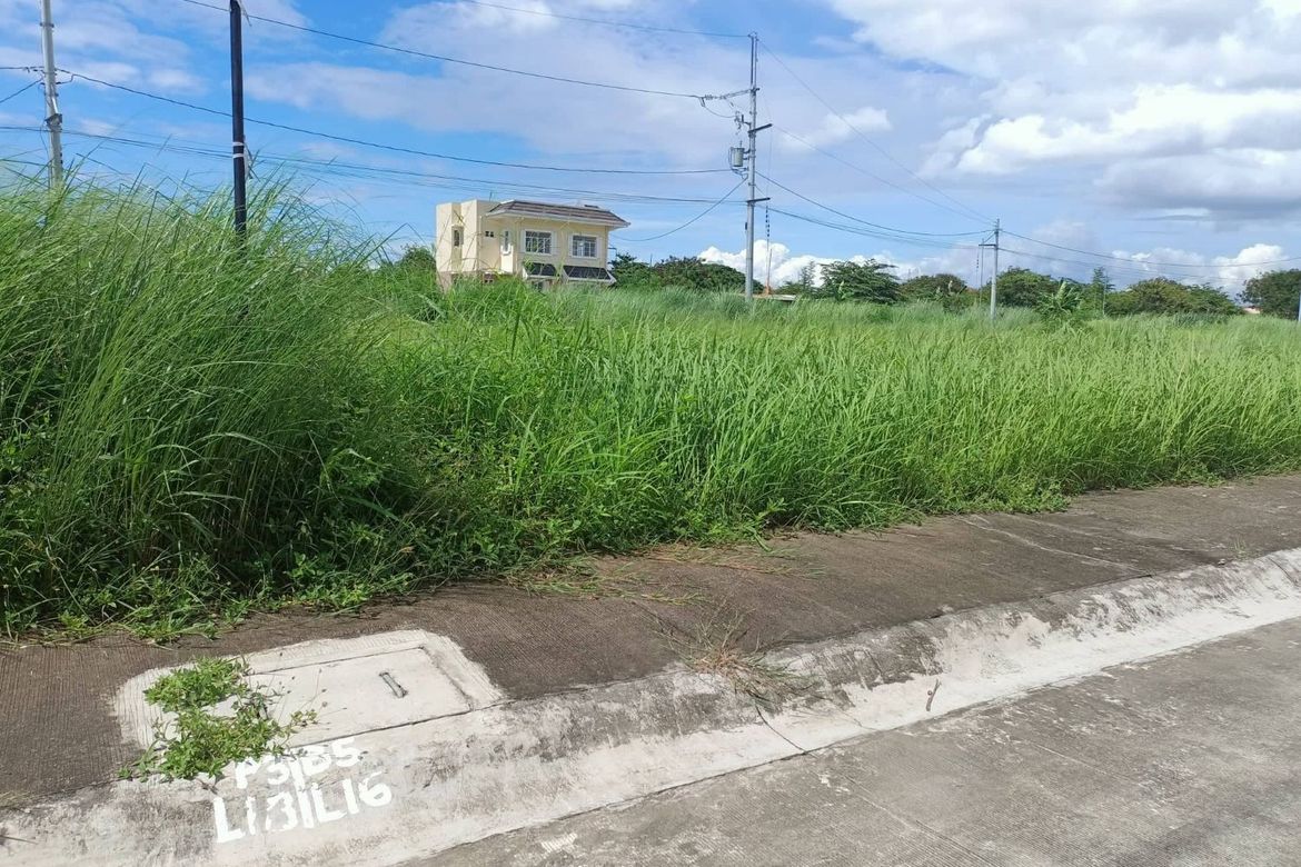 Land for Sale in Princeton Heights, Bayanan, Bacoor, Cavite – photo 4