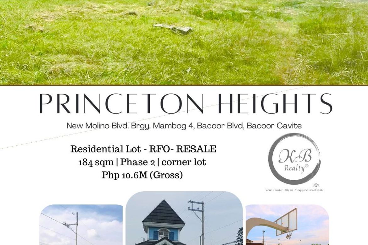 Land for Sale in Princeton Heights, Bayanan, Bacoor, Cavite – photo 8