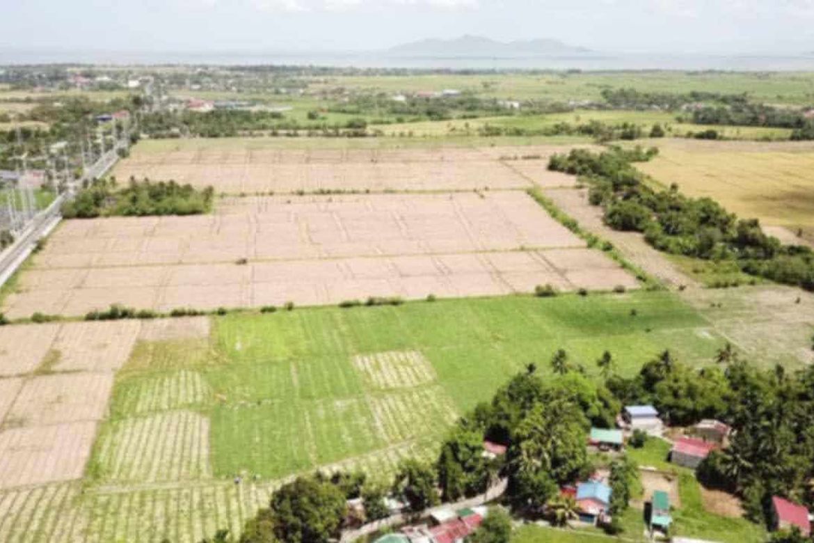 Land for Sale in Prinza, Calauan, Laguna – photo 2