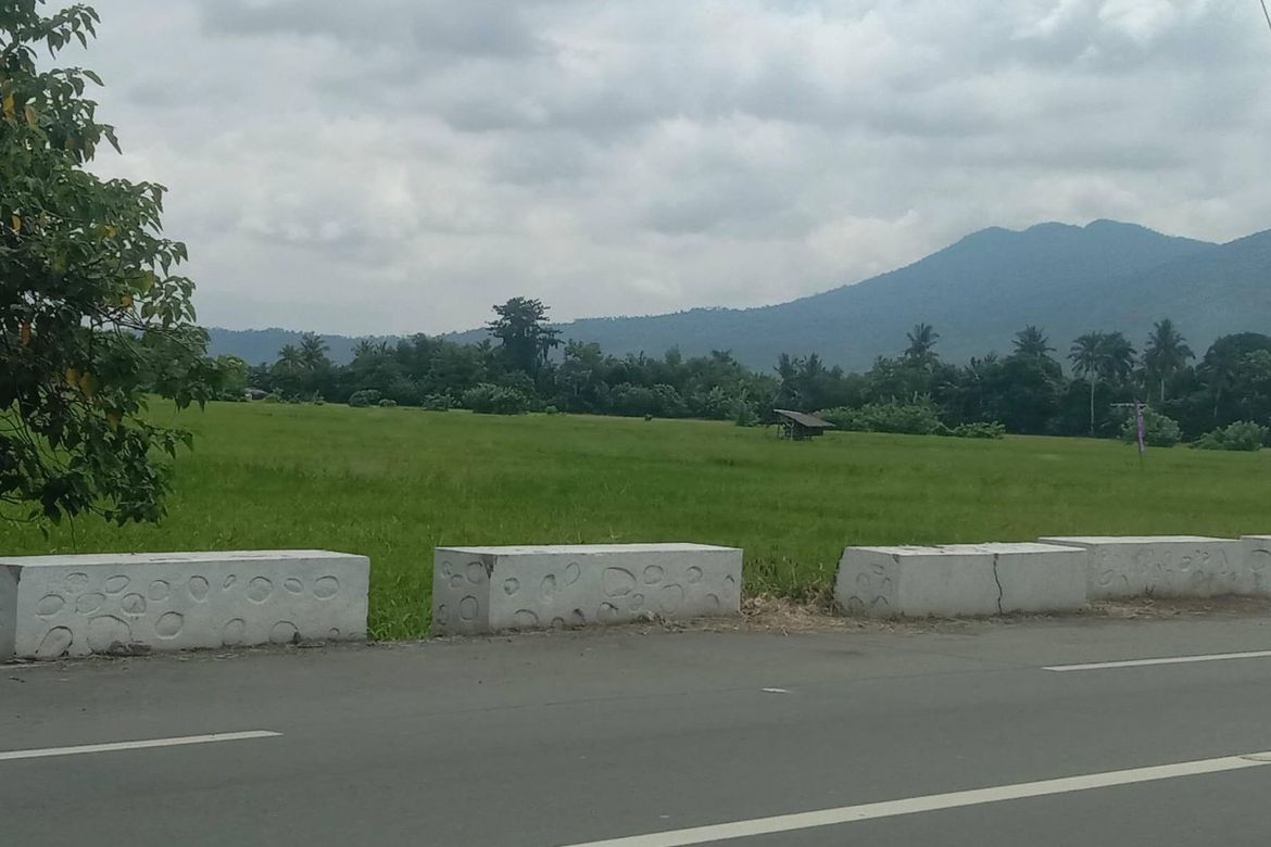 Land for Sale in Prinza, Calauan, Laguna – photo 3