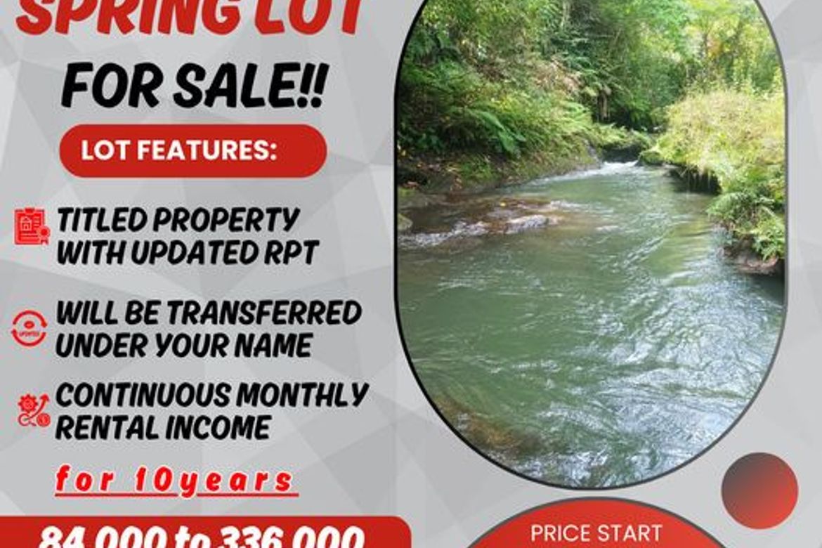 Land for Sale in Prinza, Calauan, Laguna – photo 3