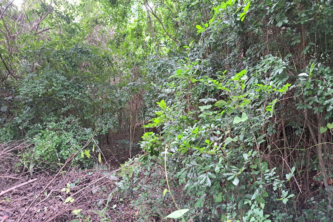 Land for Sale in Prinza, Teresa, Rizal