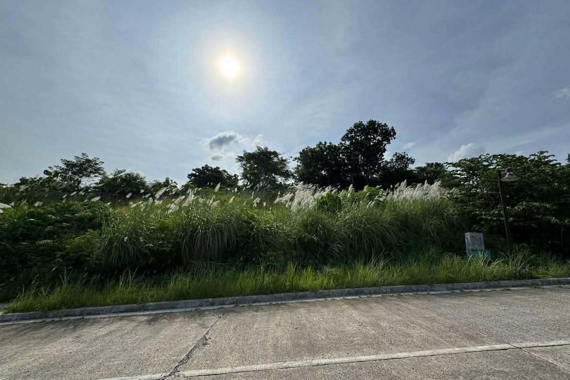 Land for Sale in Priveya Hills, Bacayan, Cebu City, Cebu