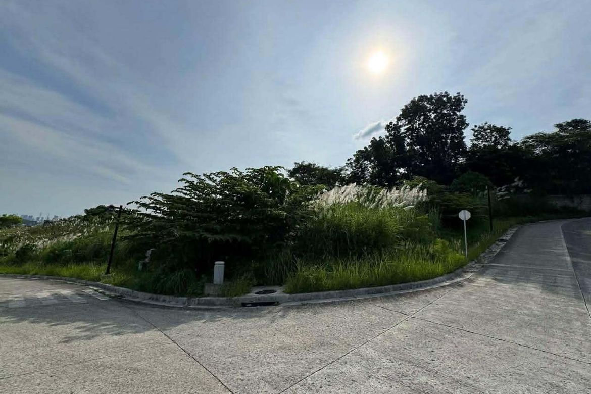 Land for Sale in Priveya Hills, Bacayan, Cebu City, Cebu – photo 4