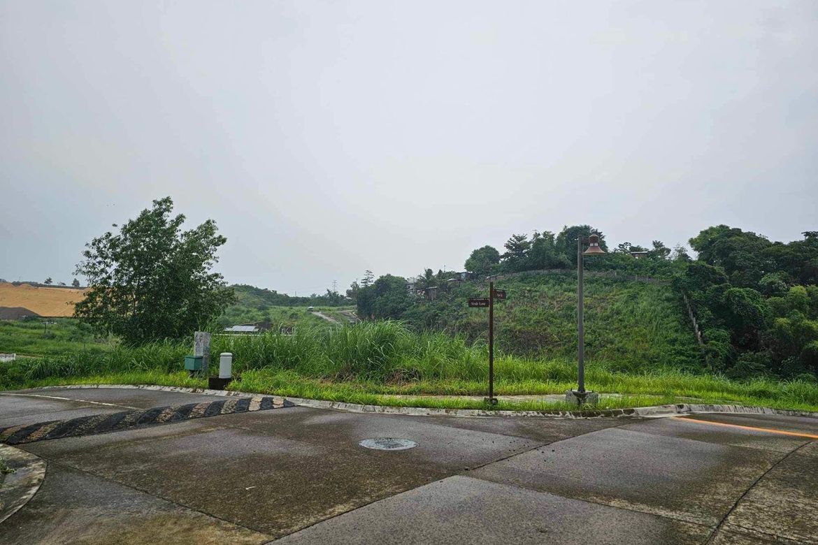 Land for Sale in Priveya Hills, Bacayan, Cebu City, Cebu – photo 2