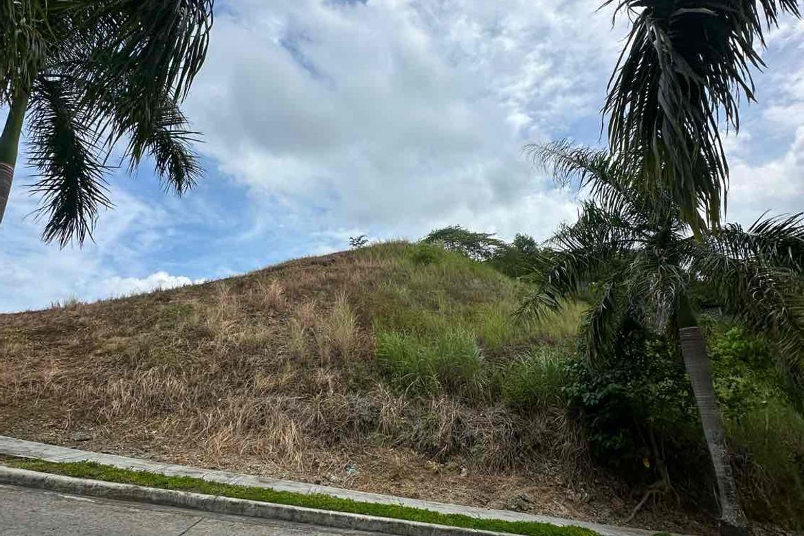 Land for Sale in Priveya Hills, Bacayan, Cebu City, Cebu