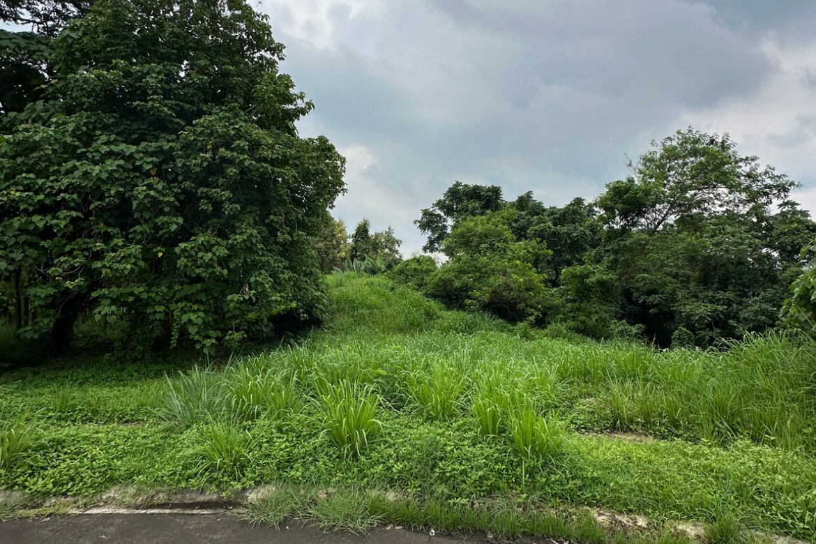 Land for Sale in Promenade, Santo Domingo, Santa Rosa, Laguna – photo 6