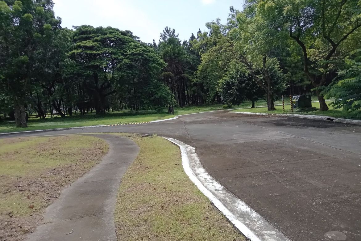 Land for Sale in Promenade, Santo Domingo, Santa Rosa, Laguna – photo 2