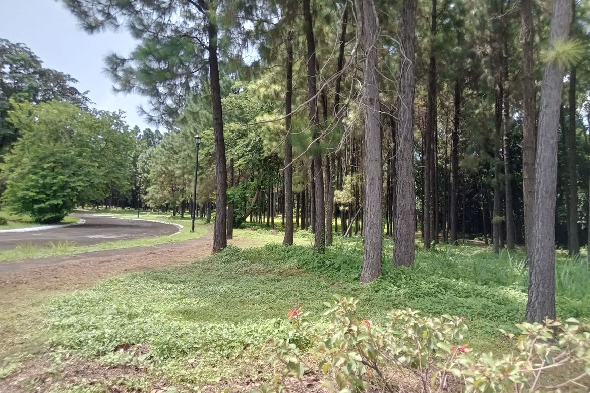Land for Sale in Promenade, Santo Domingo, Santa Rosa, Laguna – photo 3