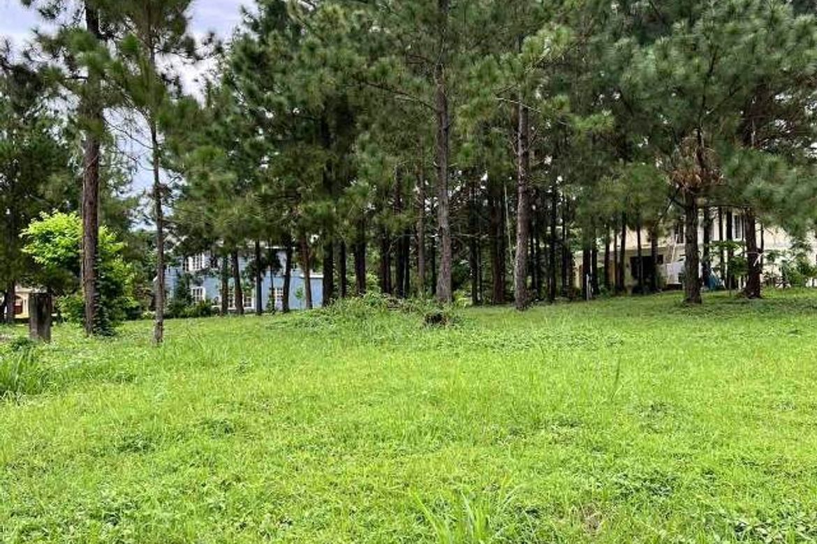 Land for Sale in Promenade, Santo Domingo, Santa Rosa, Laguna – photo 3