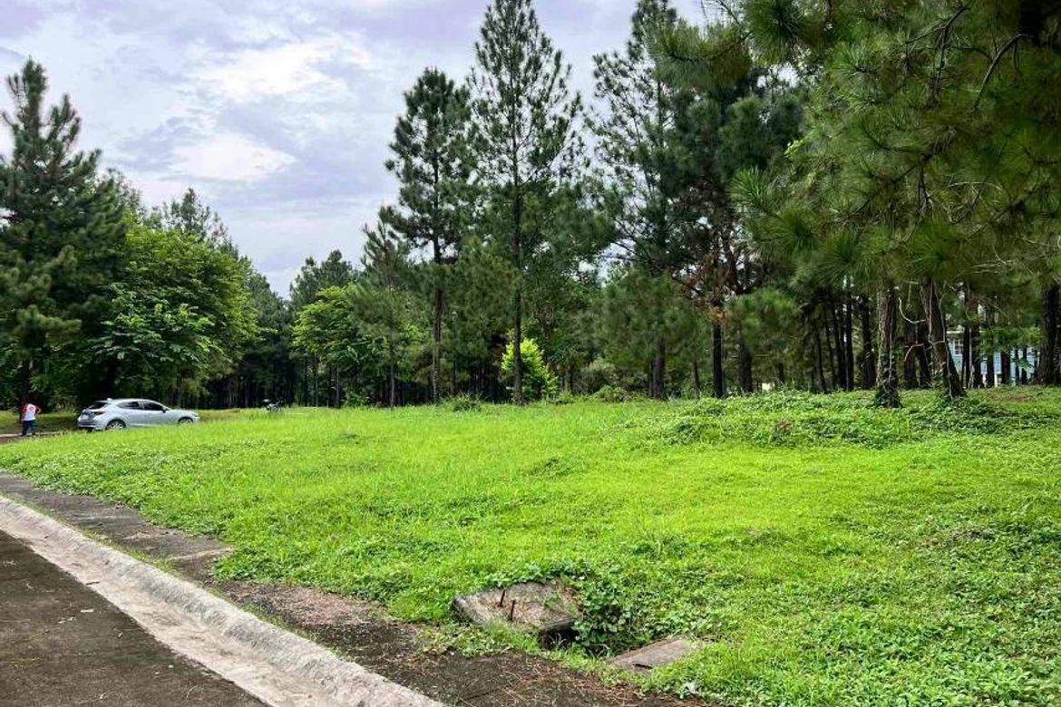 Land for Sale in Promenade, Santo Domingo, Santa Rosa, Laguna – photo 4